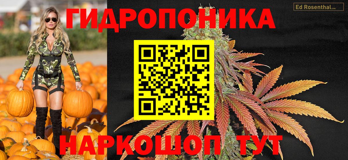 МАРИХУАНА план Горячий Ключ